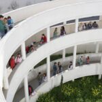 Why My Two Startups Feel Like Two Different Universities